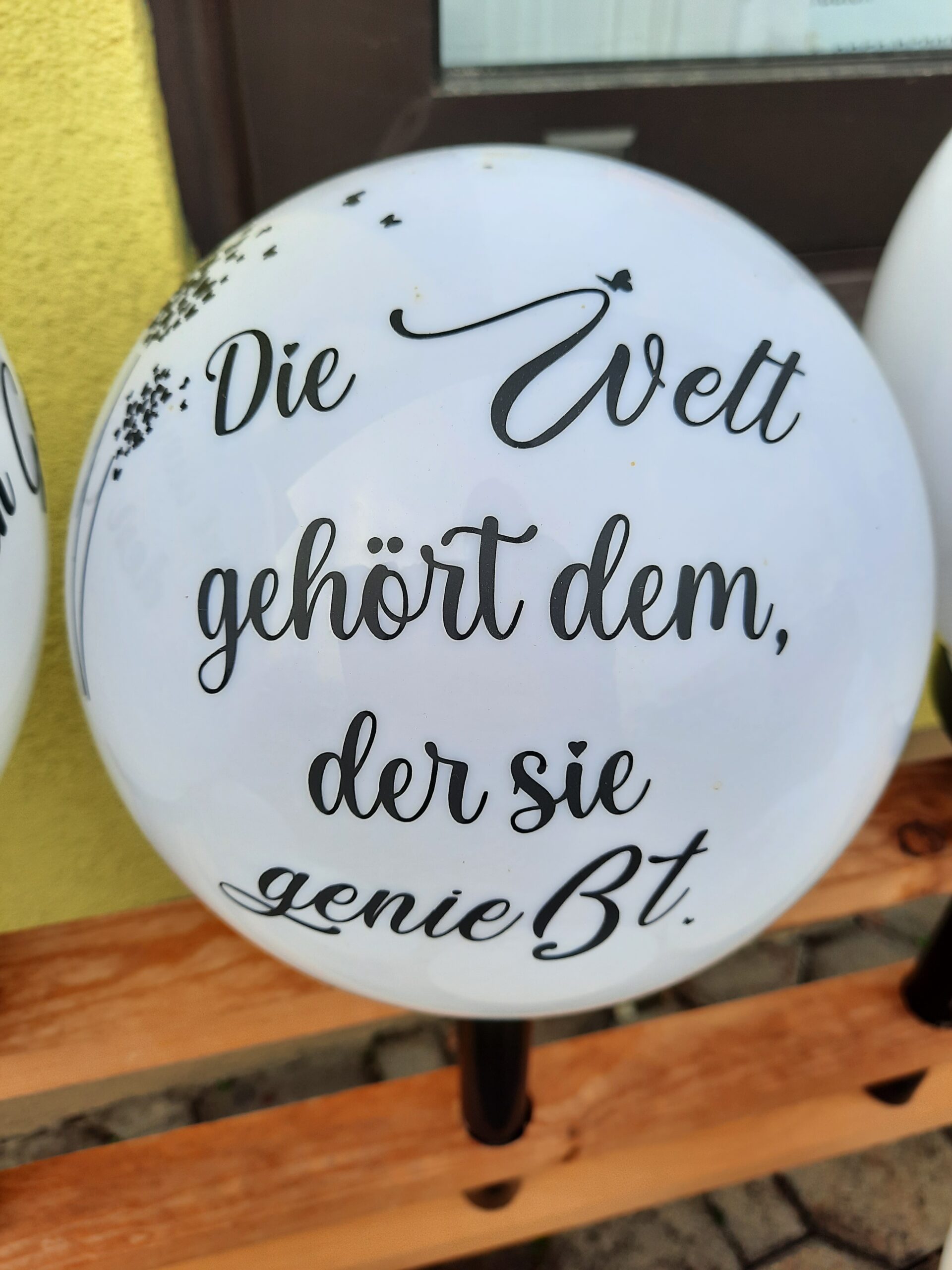 Solarkugel bedruckt Die Welt gehört dem, der sie genießt